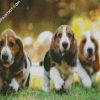 Basset Hound Puppies Dogs diamond painting