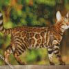 Bengal Cat diamond painting