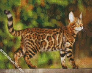 Bengal Cat diamond painting