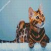 Bengal Cat Animal diamond painting