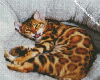 Bengal Cat Pet diamond painting