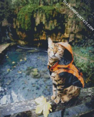 Bengal Cat With Raincoat diamond painting