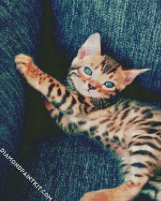 Bengal Kitten diamond painting