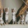 Bengal Kitties diamond painting