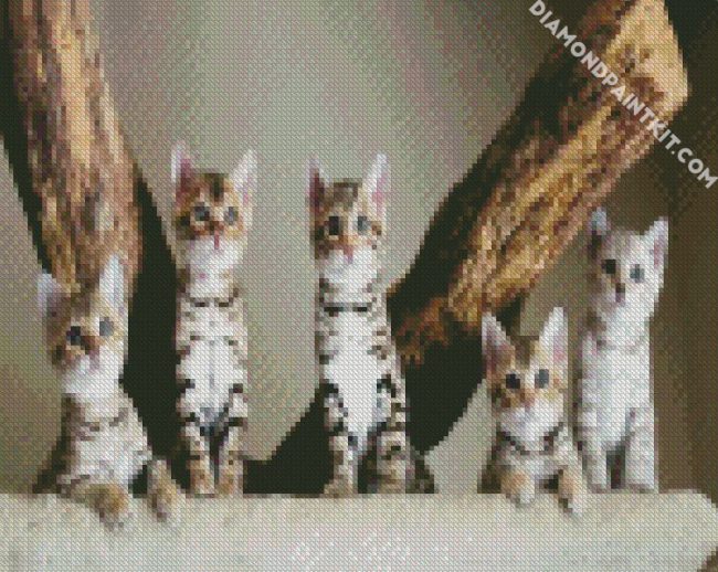 Bengal Kitties diamond painting