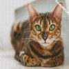 Bengal With Green Eyes diamond painting