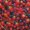 Berries Fruits diamond painting