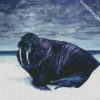 Black Walrus diamond painting