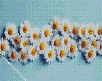 Blooming Chamomile Flowers diamond painting