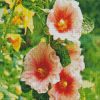 Blooming Hollyhocks Flowers diamond painting