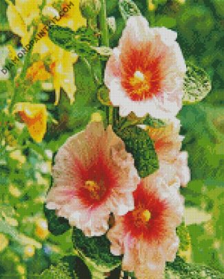 Blooming Hollyhocks Flowers diamond painting