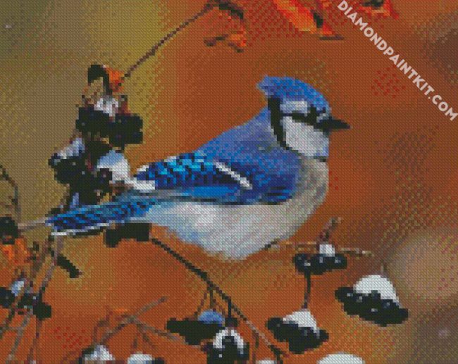 Blue Jay Bird diamond painting