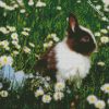 Bunny In Chamomile Field diamond painting