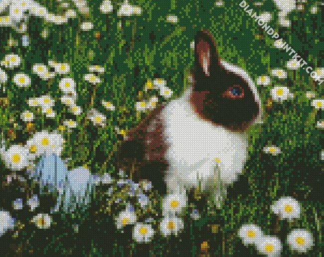 Bunny In Chamomile Field diamond painting