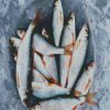 Carp Fishes diamond painting