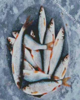 Carp Fishes diamond painting