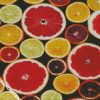 Citrus Fruits diamond painting