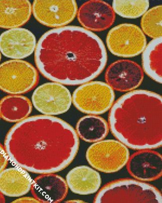 Citrus Fruits diamond painting