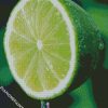 Citrus Lime diamond painting