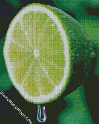 Citrus Lime diamond painting