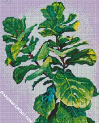 Fiddle Leaf Fig diamond painting