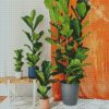 Fiddle Leaf Fig Plant diamond painting