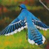 Flying Blue Jay diamond painting