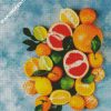 Fresh Citrus Fruit diamond painting