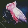 Galah Bird diamond painting