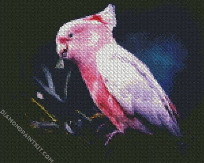 Galah Bird diamond painting