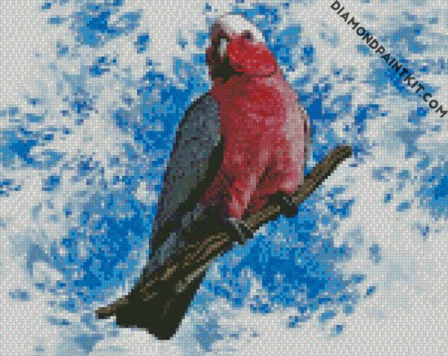 Galah Bird Art diamond painting