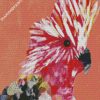 Galah Pop Art diamond painting