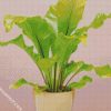 Green Birds Nest Fern diamond painting