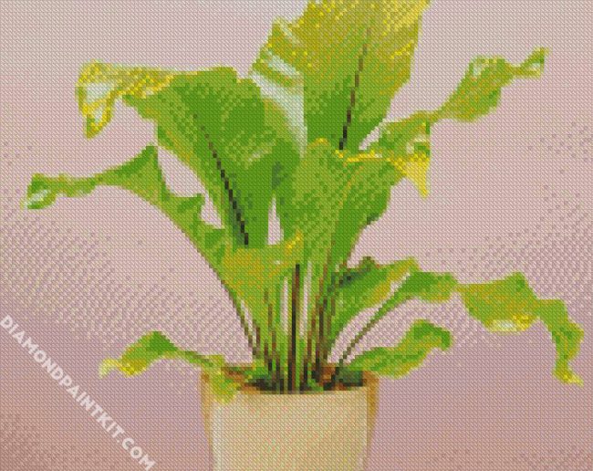 Green Birds Nest Fern diamond painting