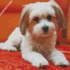 Havanese Dog Puppy diamond painting