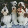 Havanese Puppies diamond painting