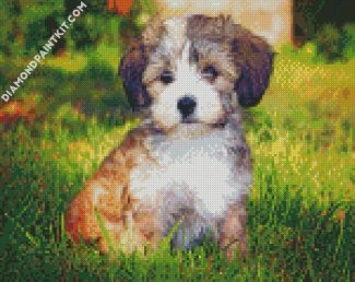 Havanese Puppy diamond painting