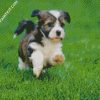 Havanese Puppy Running diamond painting