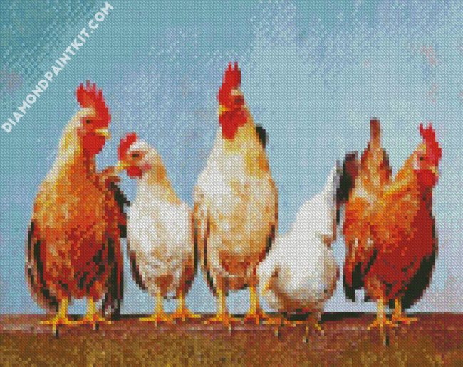 Hens Birds diamond painting