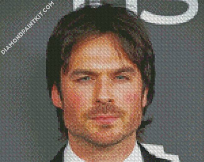 Lan Somerhalder Damon Salvatore diamond painting