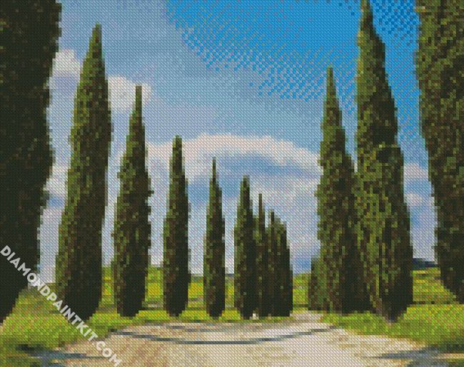 Italian Cypress Trees diamond painting