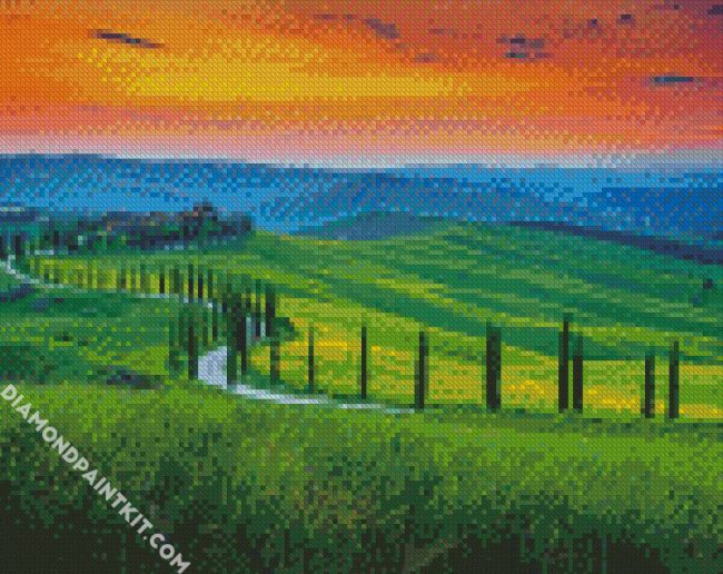 Italy Tuscany Cypress Trees diamond painting