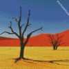 Kalahari Desert diamond painting