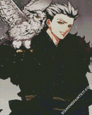 Kotaro Bokuto And Owl diamond painting