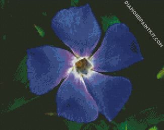 Light Indigo Flower diamond painting