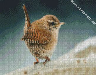 Little Wren Bird diamond painting