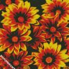 Orange Gazania Flowers diamond painting