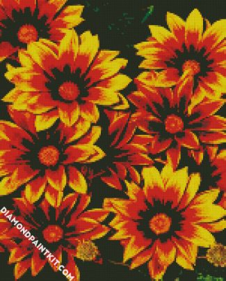 Orange Gazania Flowers diamond painting