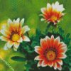 Orange White Gazania diamond painting