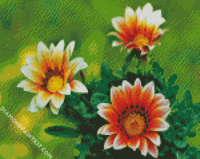 Orange White Gazania diamond painting